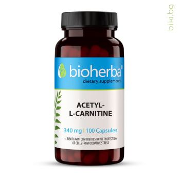 ацетил l-карнитин, l-карнитин, l-carnitine, ел карнитин, елкарнитин