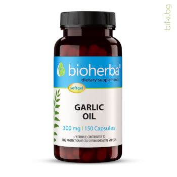 garlic oil, масло от чесън, масло, чесън, здравословно състояние