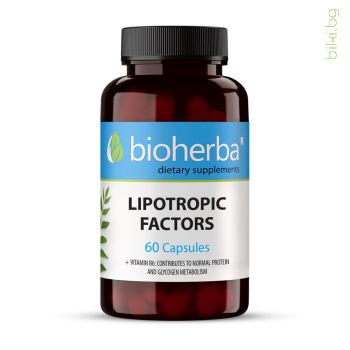 lipotropic factors, ЛИПОТРОПНИ ФАКТОРИ, 350mg,  60 капсули