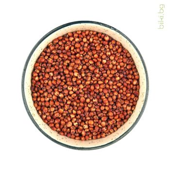 сорго семе небелено, червено сорго, просо, метла, метлено семе,Sorghum bicolor