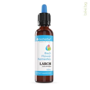 larch,лиственица,larix deciduas, капки на бах униние и отчаяние