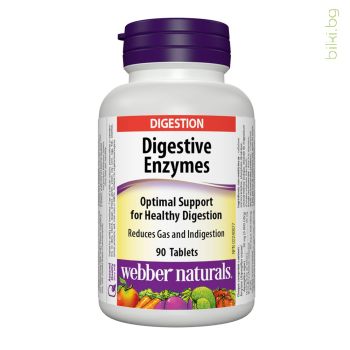 digestive enzymes, храносмилателни ензими, webber naturals, храносмилане, амилаза, папаин, бромелаин, бетаин хидрохлорид, папая, разграждане