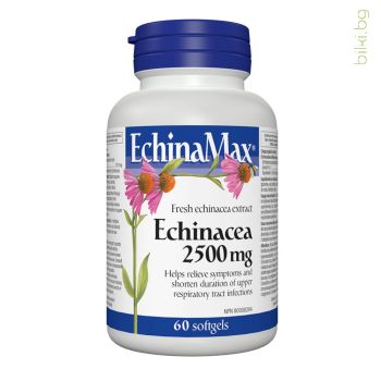 echinamax, ехинацея, екстракт, капсули, webber naturals, имунна система, имунитет, дихателна система, бял дроб, дишане, профилактика, грип, настинка