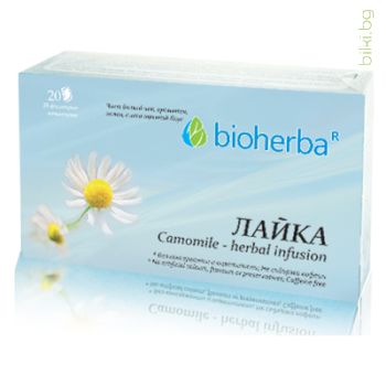 лайка,  филтърен чай 