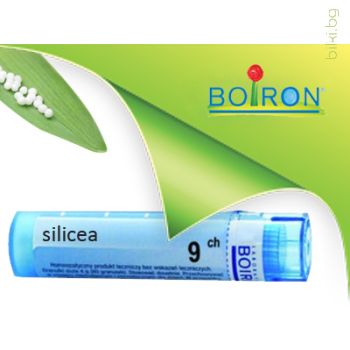 silicea, boiron