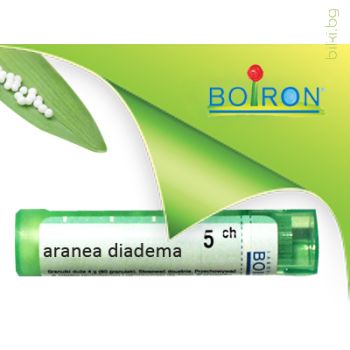 aranea diadema, boiron