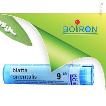 blatta orientalis,boiron