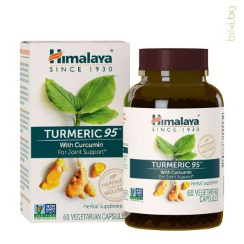 turmeric 95, турмерик 95, куркумин, куркума, антиоксидант, himalaya