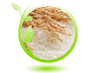 Ориз при диария