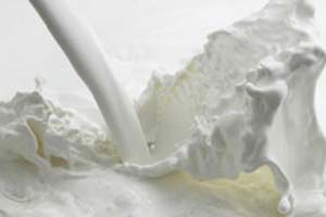 Българското кисело мляко-ключът към дълголетието